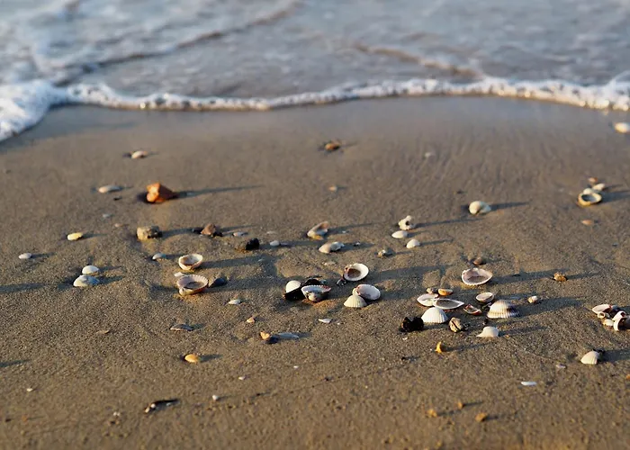 Relaxing With Private Garden Near The Sea Lejlighed *
