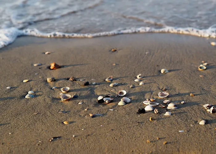 Relaxing With Private Garden Near The Sea * Bibione